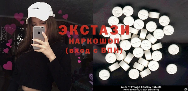 стаф Инта