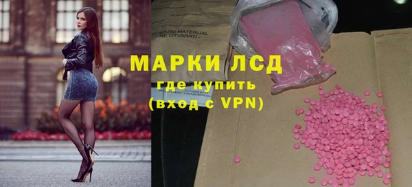 стаф Инта