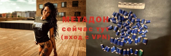 стаф Инта