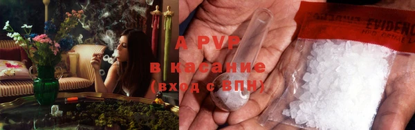 ПСИЛОЦИБИНОВЫЕ ГРИБЫ Инсар