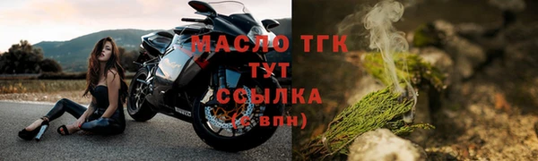 стаф Инта