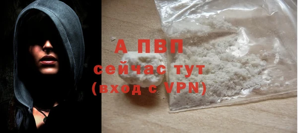 ПСИЛОЦИБИНОВЫЕ ГРИБЫ Инсар