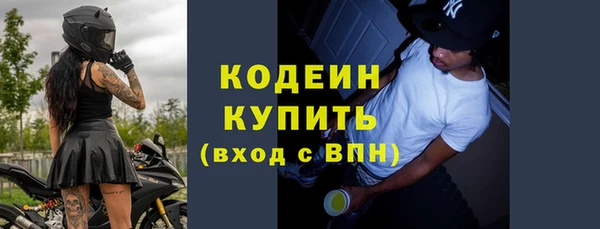 ПСИЛОЦИБИНОВЫЕ ГРИБЫ Инсар