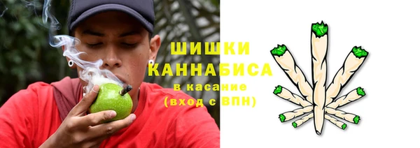 прущая мука Иннополис
