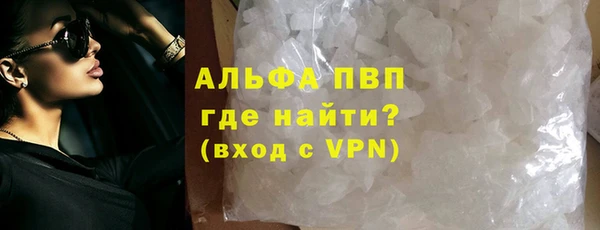стаф Инта