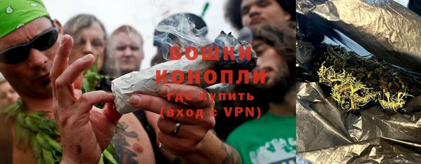 ПСИЛОЦИБИНОВЫЕ ГРИБЫ Инсар