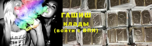 стаф Инта