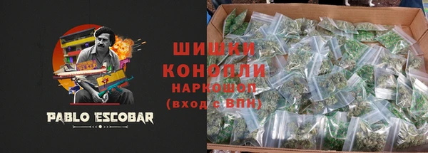 стаф Инта